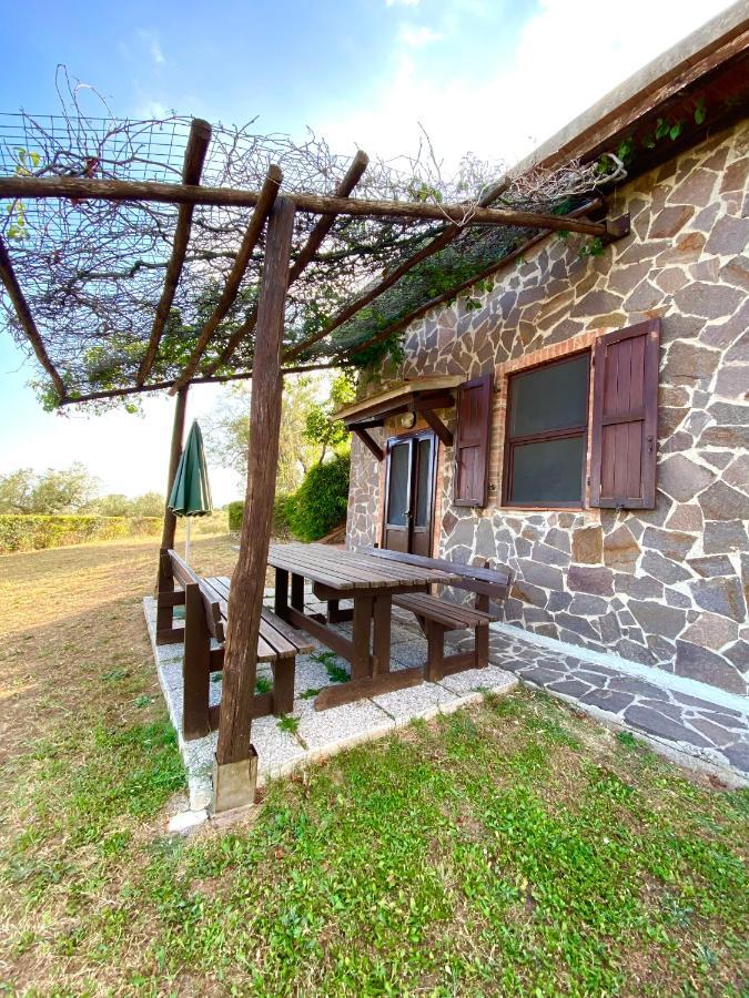 Agriturismo “Sterrati” Valpiana  Dış mekan fotoğraf