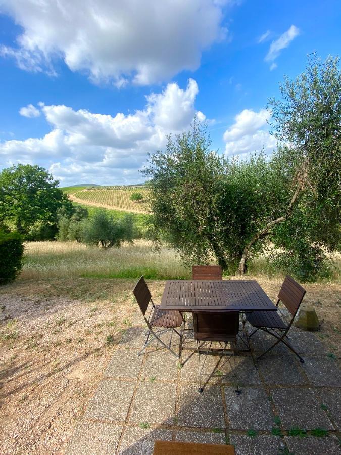 Agriturismo “Sterrati” Valpiana  Dış mekan fotoğraf